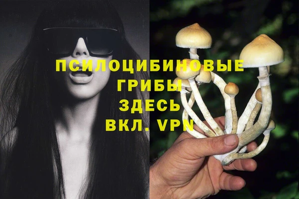 mdma Костерёво