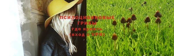 mdma Костерёво