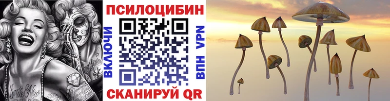 Псилоцибиновые грибы ЛСД  Купить где  Люберцы 
