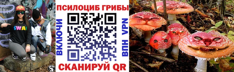 Псилоцибиновые грибы Psilocybe Люберцы
